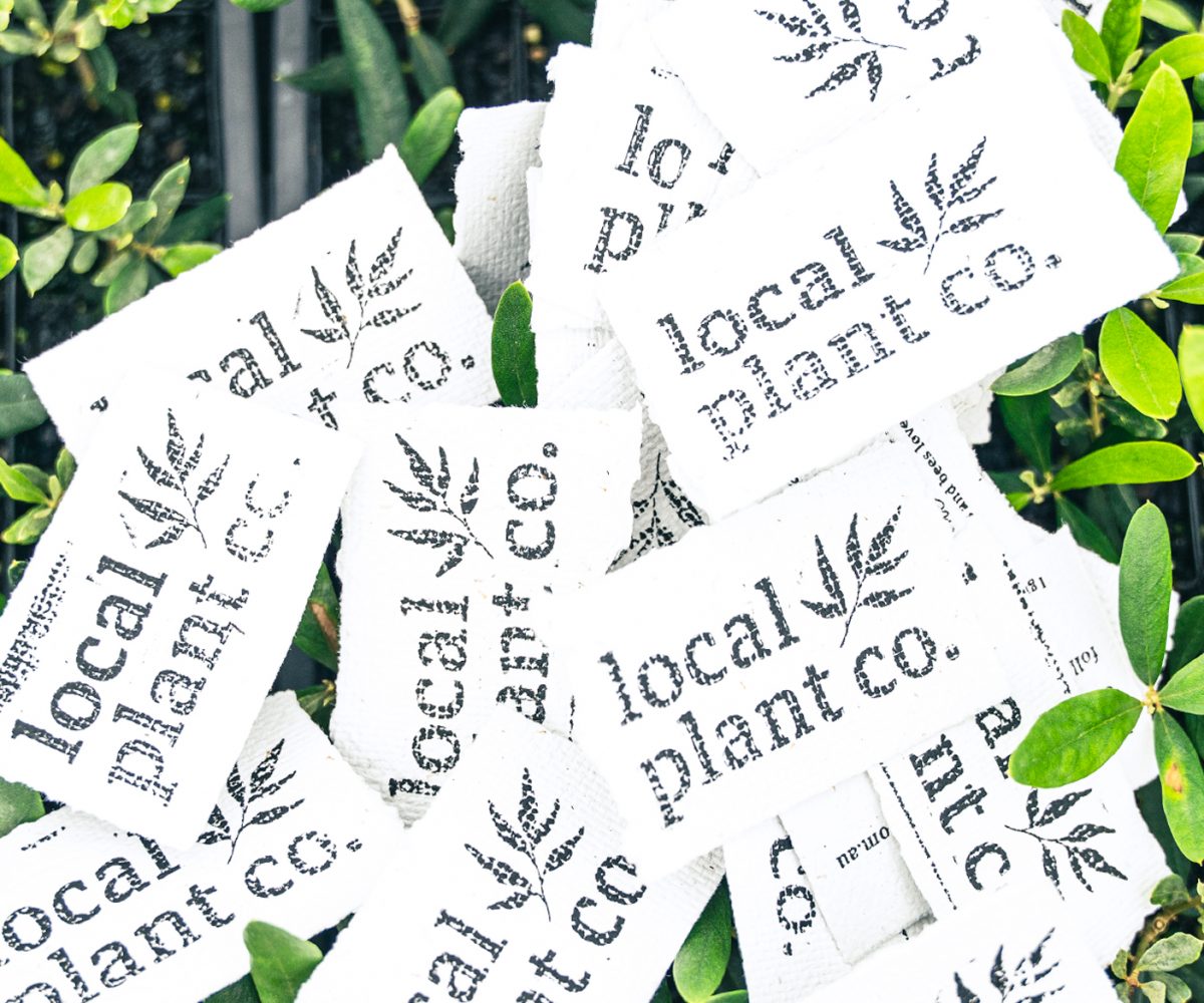 Local-Plant-Co-Cards